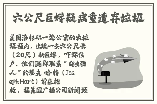 水蜜桃多肉www